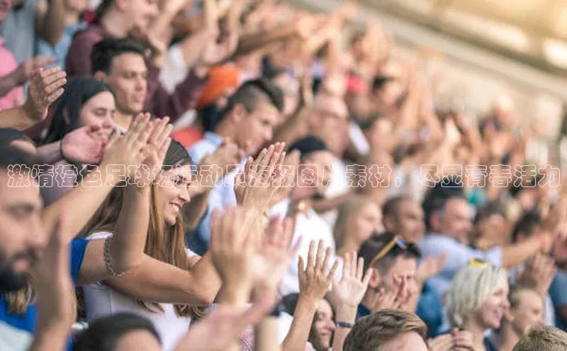 beat365唯一官网入口百度手机助手