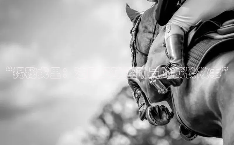 beat365在线官网登录入口巴美列捷福