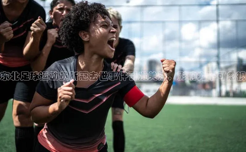 beat365官网在线平台百度翻译App