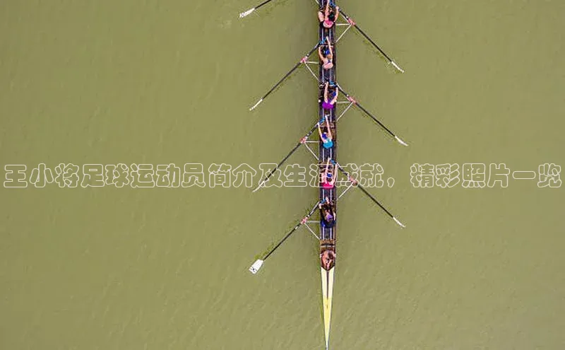 beat365全站官网最新版本顺丰