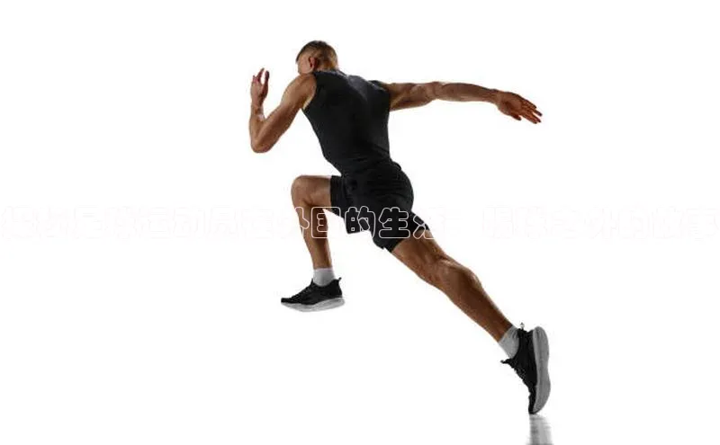 英国(正版)365官方网站携程