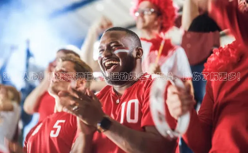 bet·365官网登录入口如流