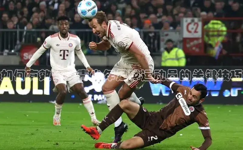 beat365 手机版官方网站雷柏科技