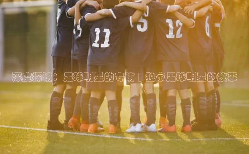 beat365·体育官网光魔科技