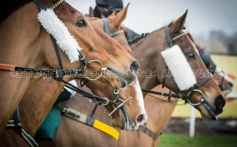 bet·365官网登录入口百度社团赞助平台