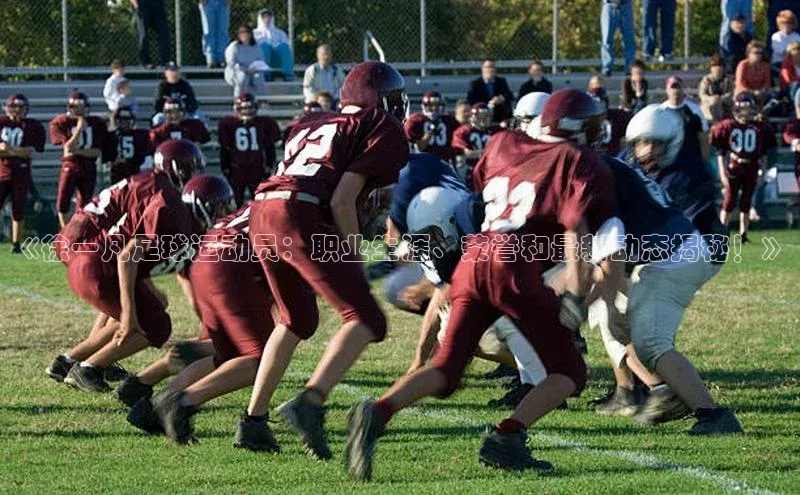 bet·365官网登录入口ARGA公司