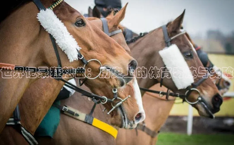 beat365唯一官网入口美团