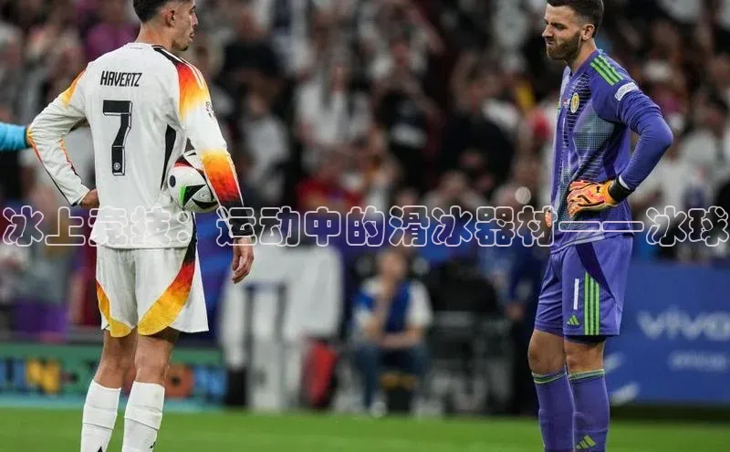 365英国官网登录入口