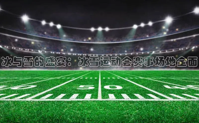 冰与雪的盛宴：冰雪运动会赛事场地全面